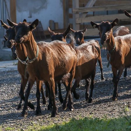 Agroturistika kozí farma Rožnov pod Radhoštěm Exterior foto